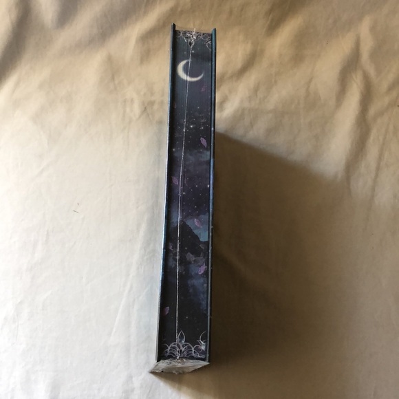 Rise of the Cinder Fae by Whitney Dean Moonlight Book Box Exclusive Edition - Picture 9 of 9